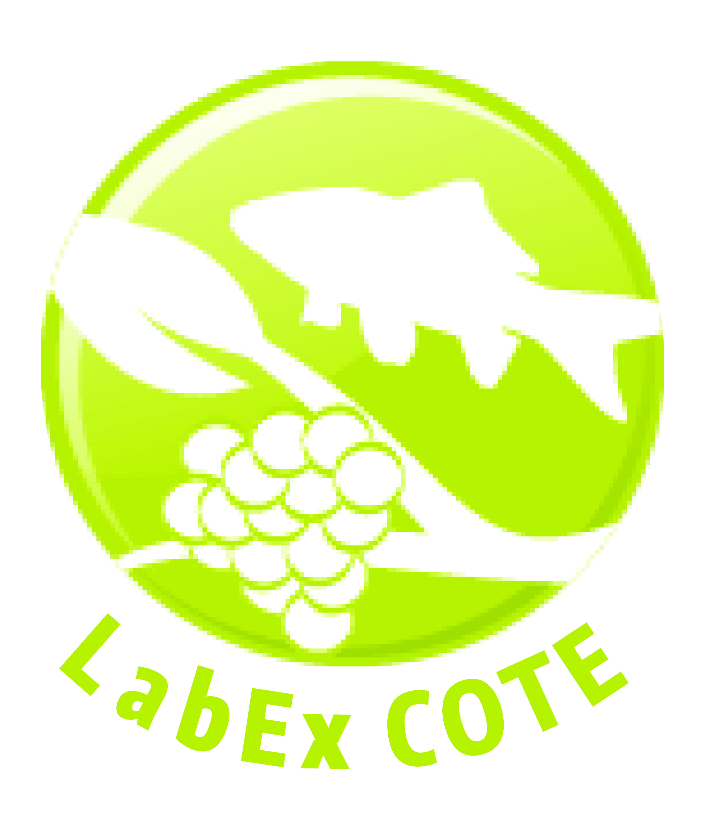 Labex COTE